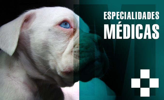 Especialidades Médicas