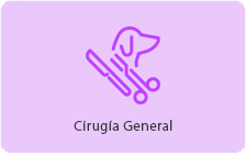 Cirugía General