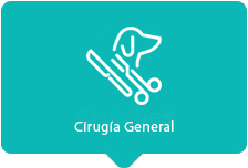 Cirugía General