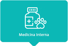 Medicina Interna
