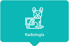 Radiología