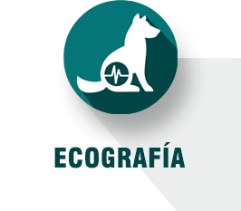 Ecografía