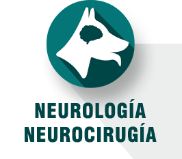 Neurología